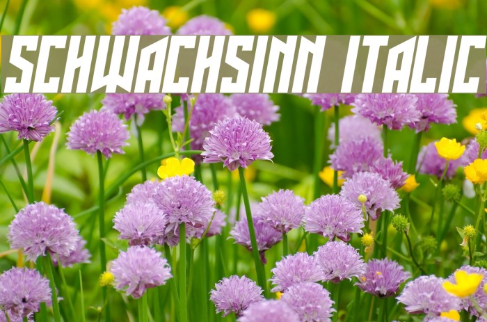 Schwachsinn Italic Font examples
