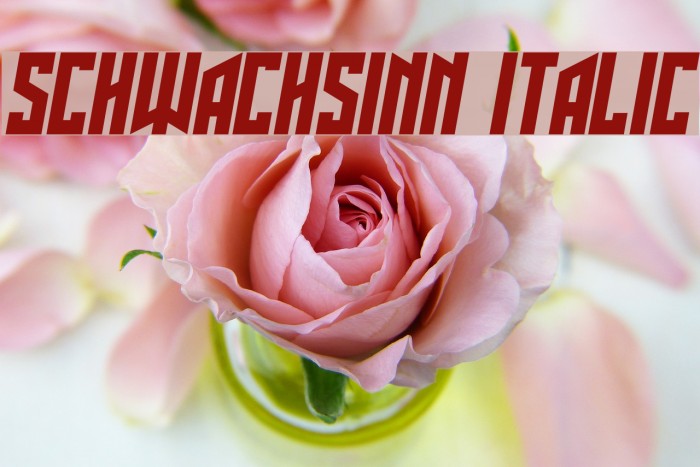 Schwachsinn Italic Font examples