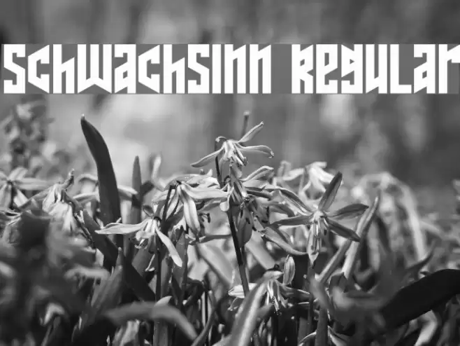 Schwachsinn Regular Font examples
