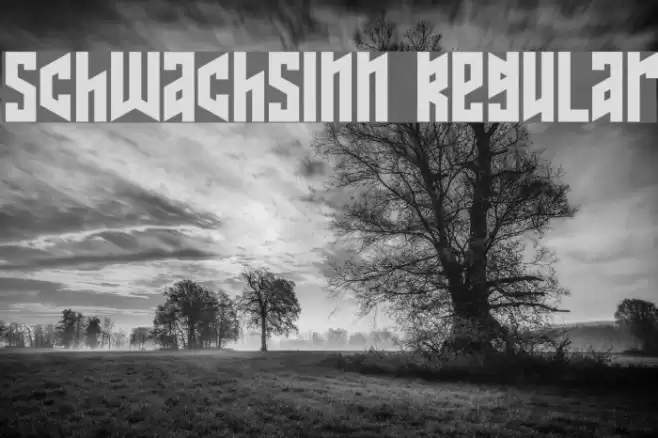 Schwachsinn Regular Font examples