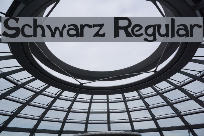 Schwarz Regular Font examples