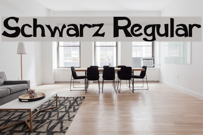 Schwarz Regular Font examples