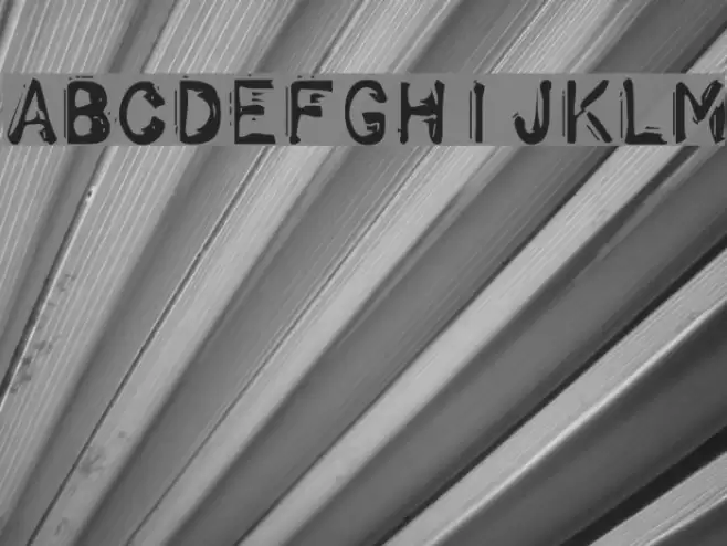 Schwarz Font examples