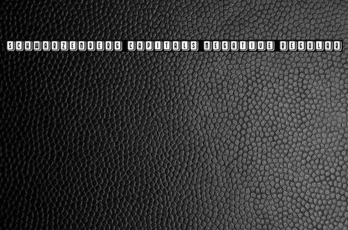 Schwarzenberg Capitals Negative Regular Example 1