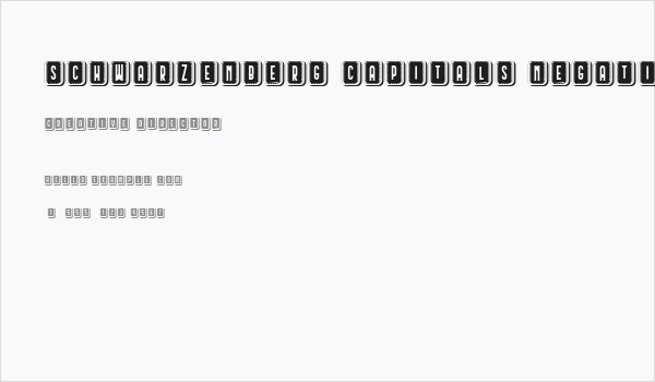 Schwarzenberg Capitals Negative Regular Business Card