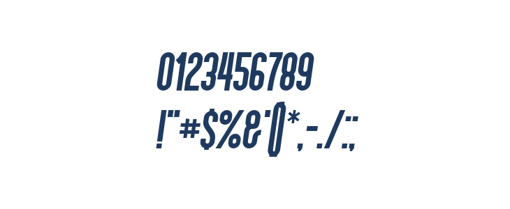 Schwarzenberg Italic Other Characters