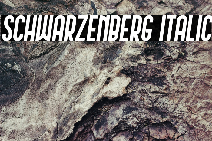 Schwarzenberg Italic Example 1