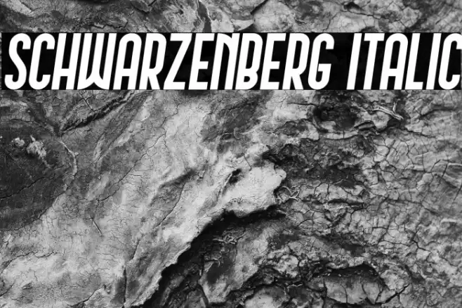 Schwarzenberg Italic Font examples