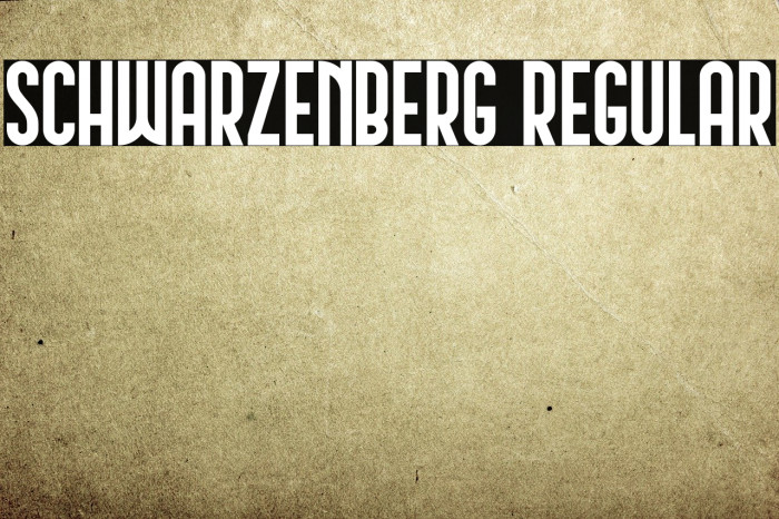 Schwarzenberg Regular Example 1