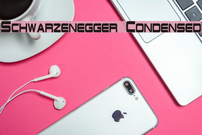 Schwarzenegger Condensed Polices examples