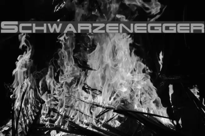 Schwarzenegger Font examples