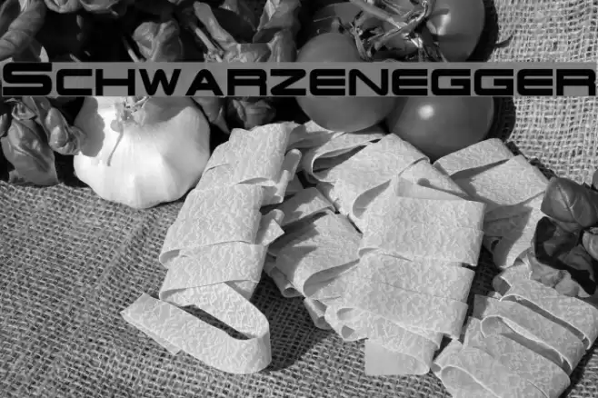 Schwarzenegger Font examples