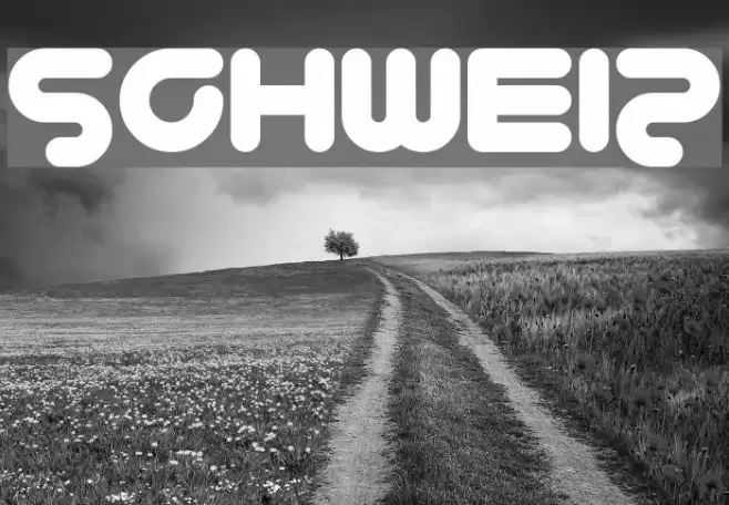 Schweiz Font examples