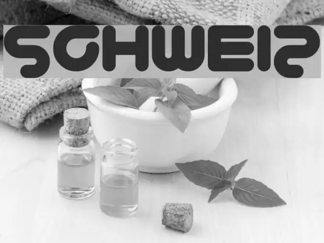 Schweiz Font examples