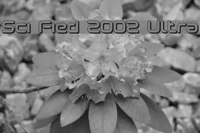 Sci Fied 2002 Ultra フォント examples