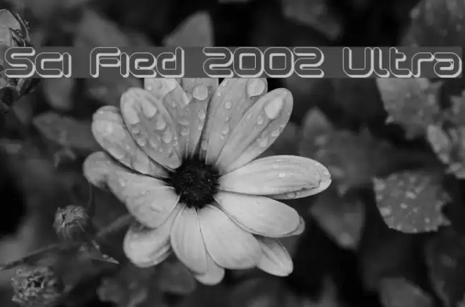 Sci Fied 2002 Ultra フォント examples