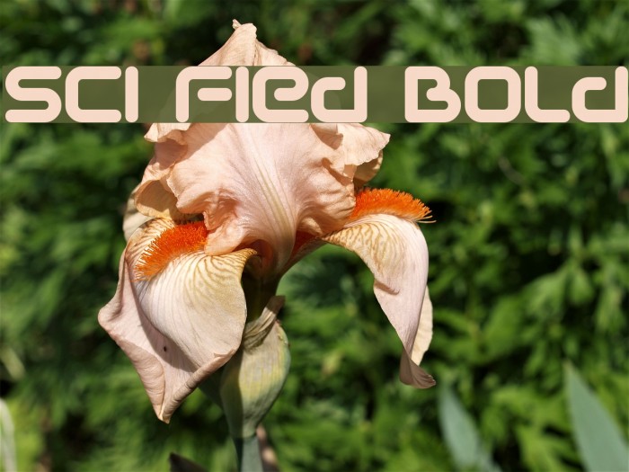 Sci Fied Bold Font examples