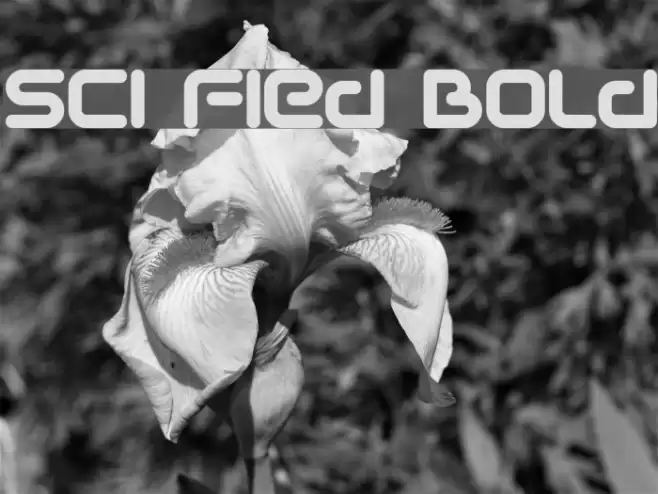 Sci Fied Bold Fuentes examples