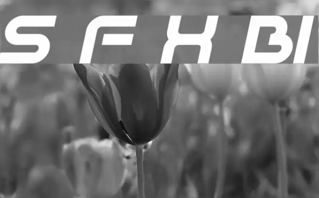 Sci Fied X BoldItalic Schriftart examples