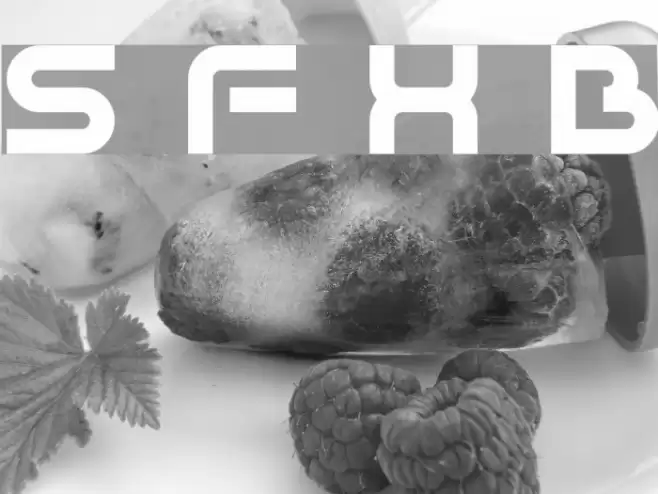 Sci Fied X Bold Font examples