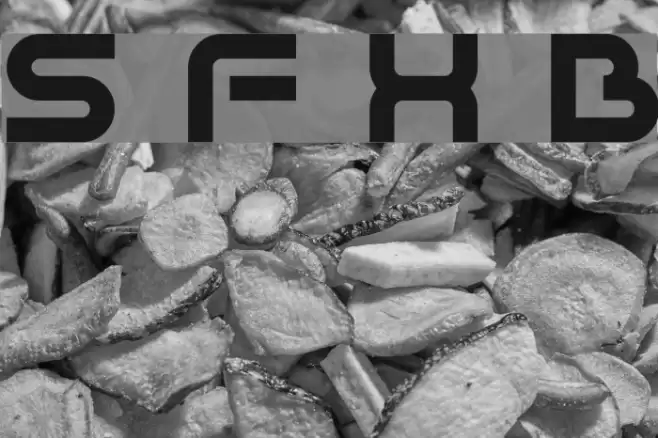 Sci Fied X Bold Font examples