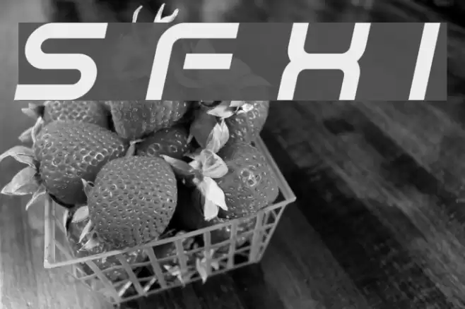 Sci Fied X Italic Font examples