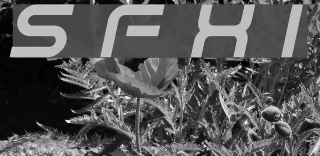 Sci Fied X Italic Font examples