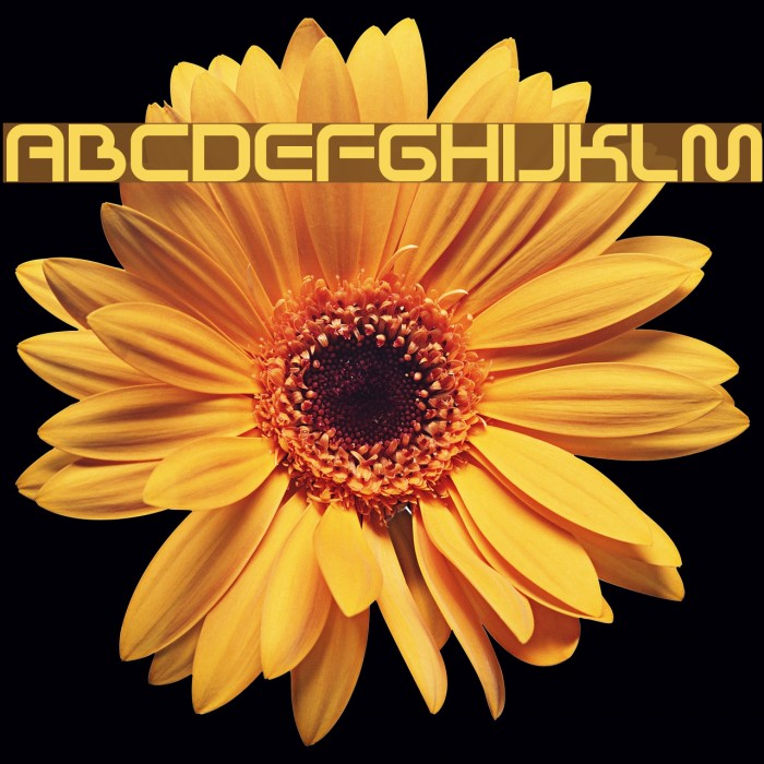Sci Fied X Font examples