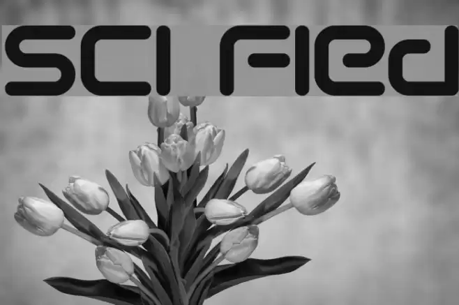 Sci Fied خط examples