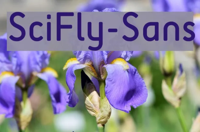 SciFly-Sans Example 1