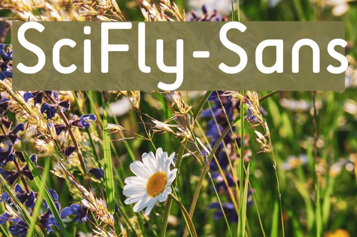 SciFly-Sans Font examples