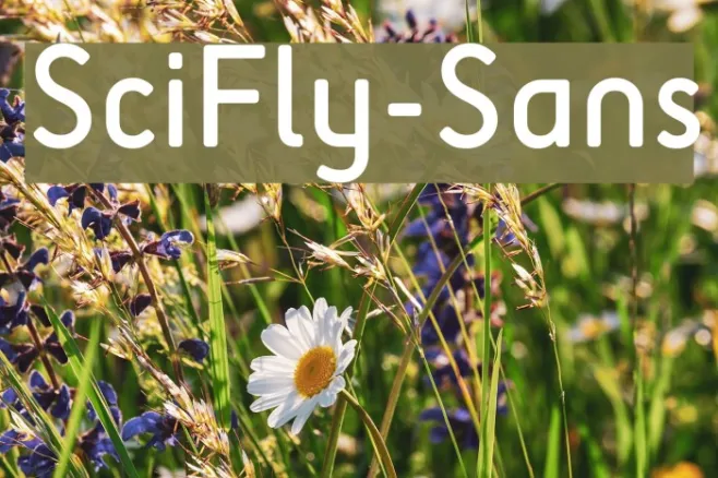 SciFly-Sans Example 2