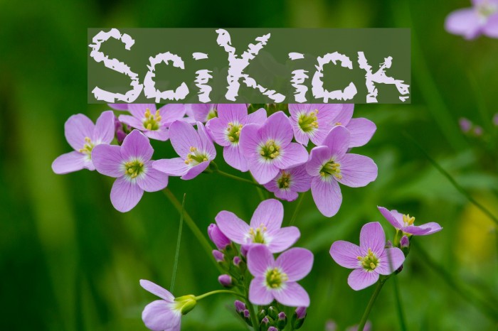 SciKick Font examples