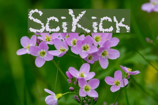 SciKick Example 3