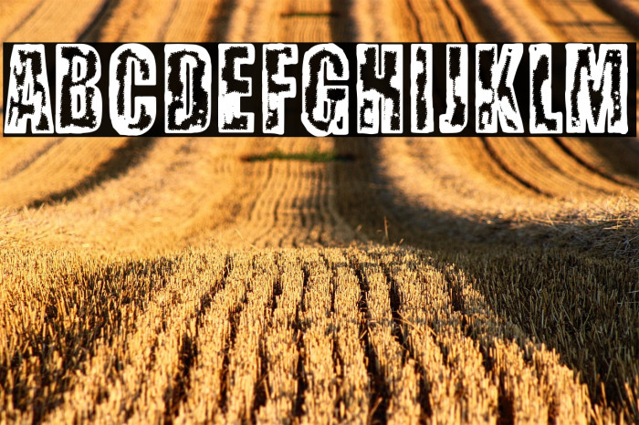 Science City Example 2