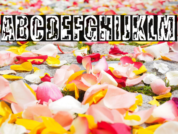 Science City Example 3