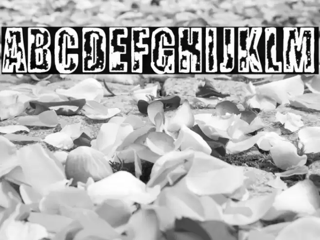 Science City Font examples