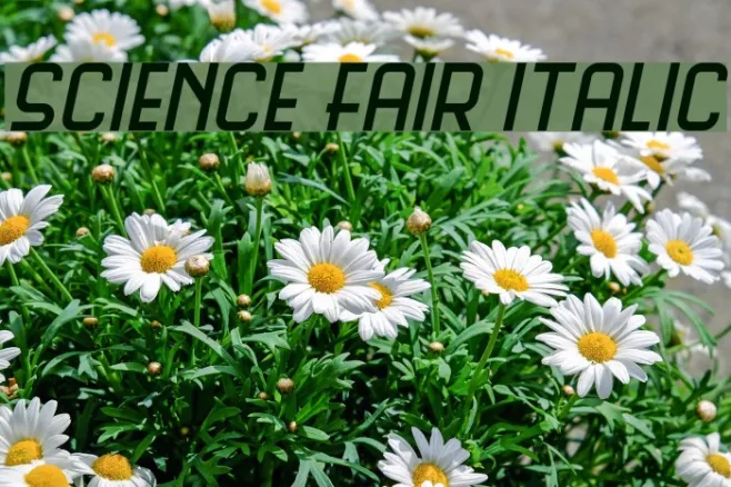 Science Fair Italic Example 2