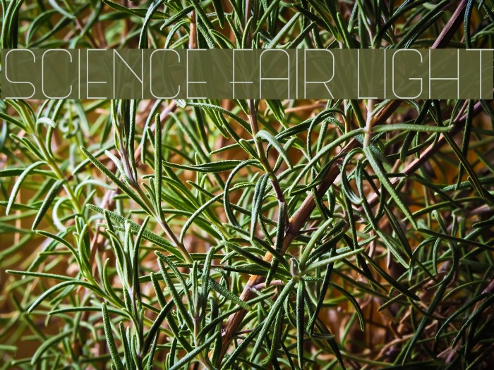 Science Fair Light Example 1