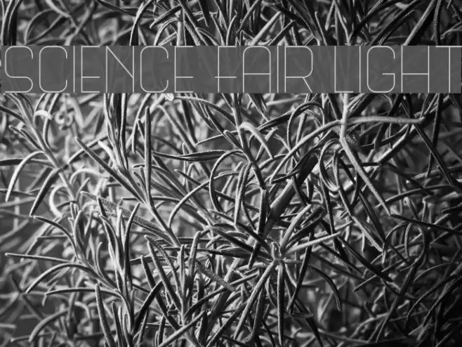 Science Fair Light Font examples