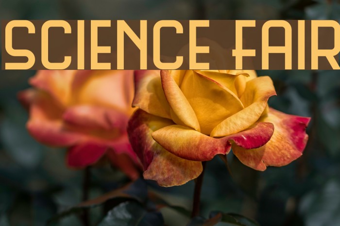 Science Fair Font examples