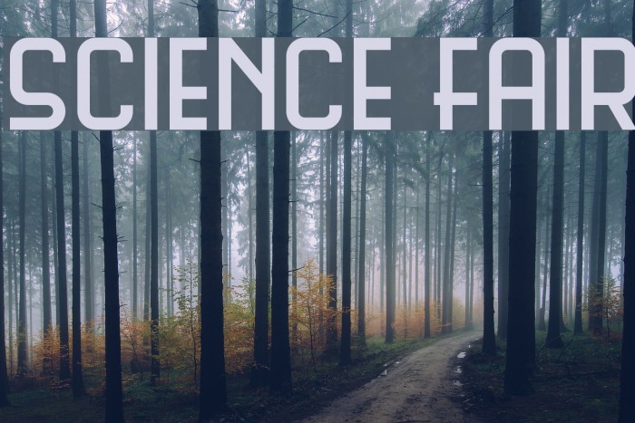 Science Fair Font examples