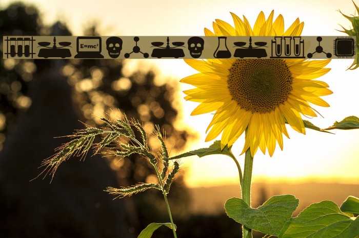 Science Icons Example 2