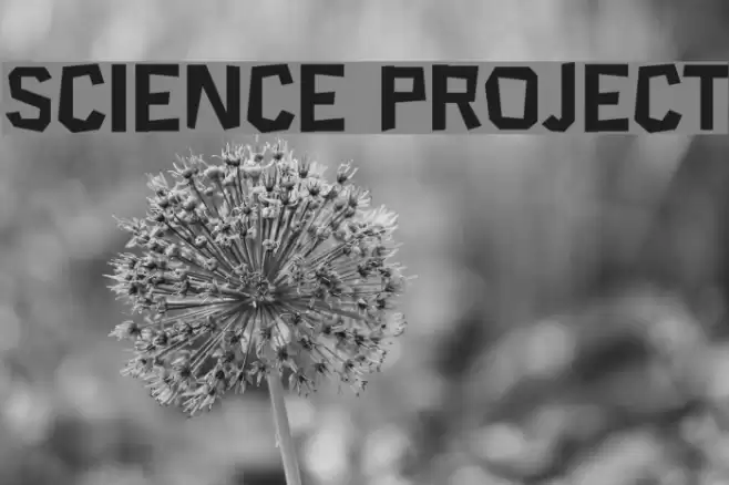 Science Project Шрифта examples