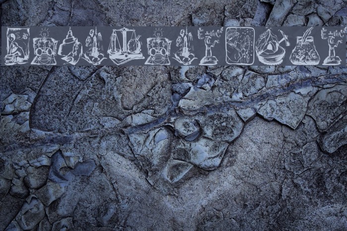 SciencesBats Example 3