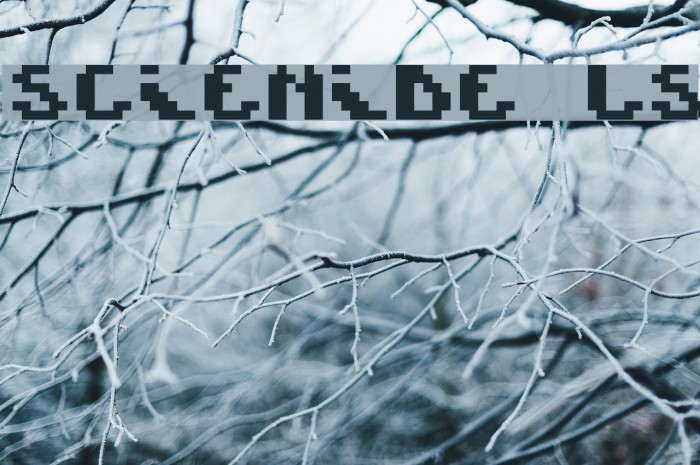 Scienide LS Example 3