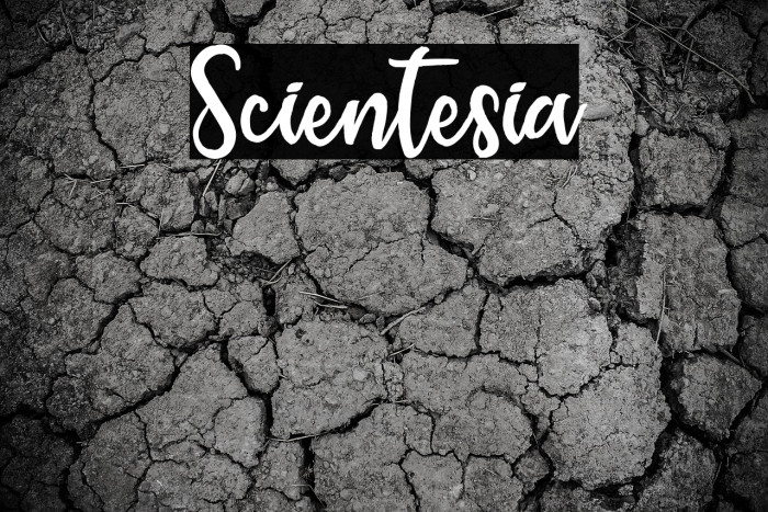 Scientesia Example 3