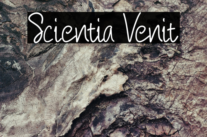 Scientia Venit Example 1