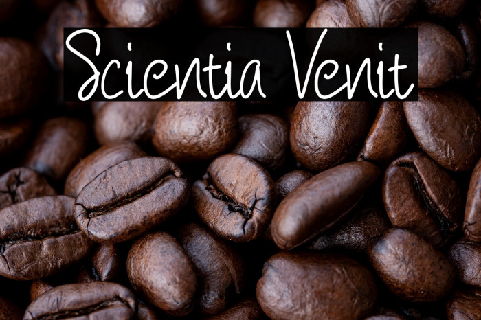 Scientia Venit Example 3