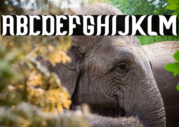 Scientist Castle Example 1